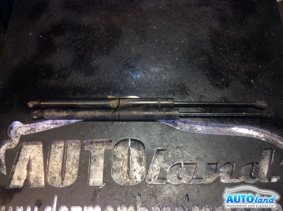 Amortizor haion (telescop) FORD GALAXY (WGR) 2006-2025