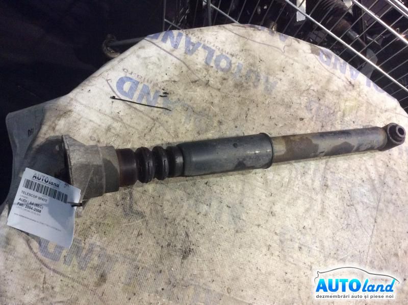 Amortizor spate (telescop) AUDI A4 (8EC) 2004-2008