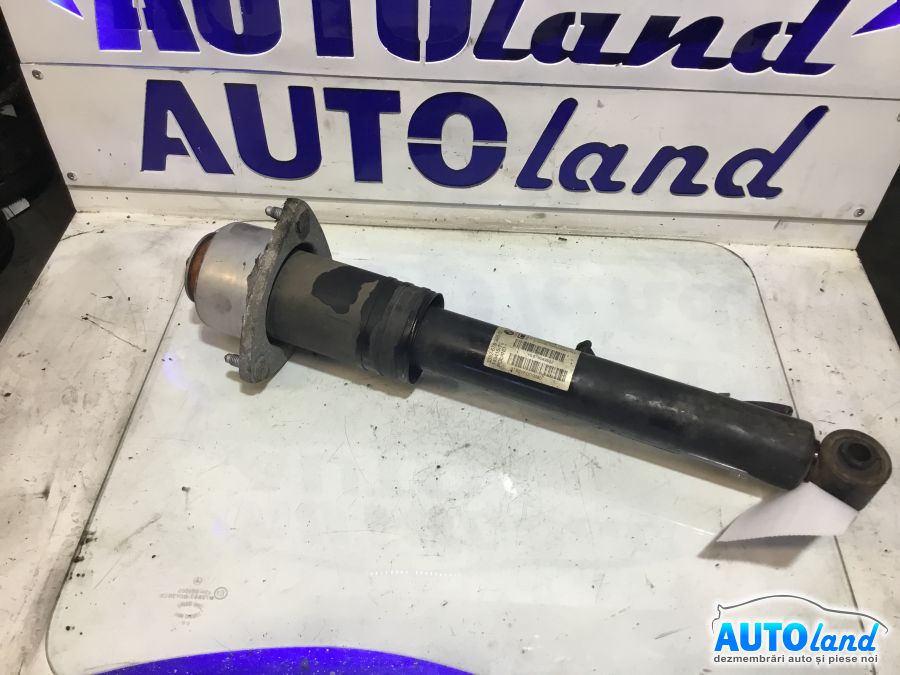 Amortizor spate (telescop) BMW X5 (E70) 2007-2025