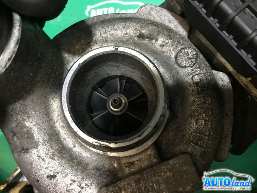 Amortizor spate (telescop) FORD FOCUS II (DA_) 2004-2008