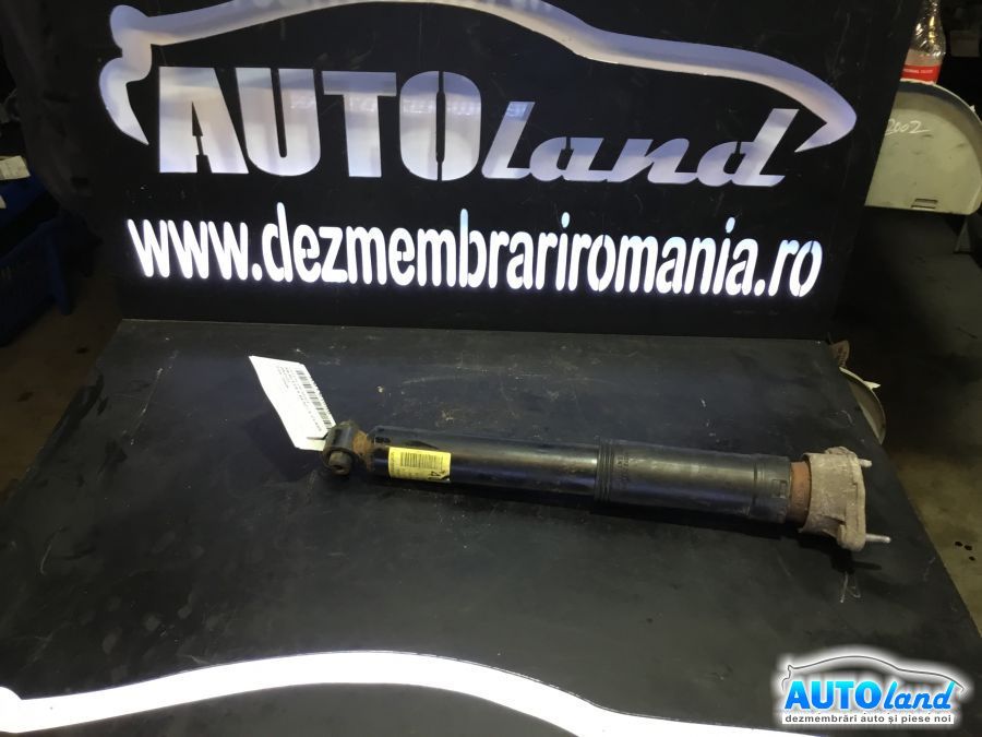 Amortizor spate (telescop)