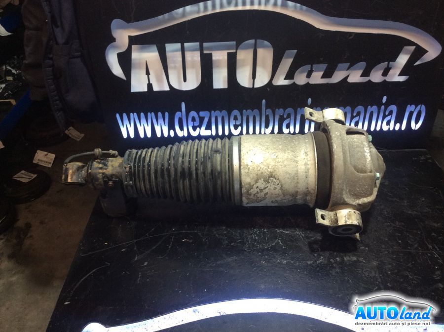Amortizor spate (telescop) VOLKSWAGEN TOUAREG (7LA,7L6,7L7) 2002-2025