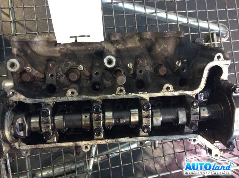 Chiulasa TOYOTA YARIS (_P1_) 1999-2025