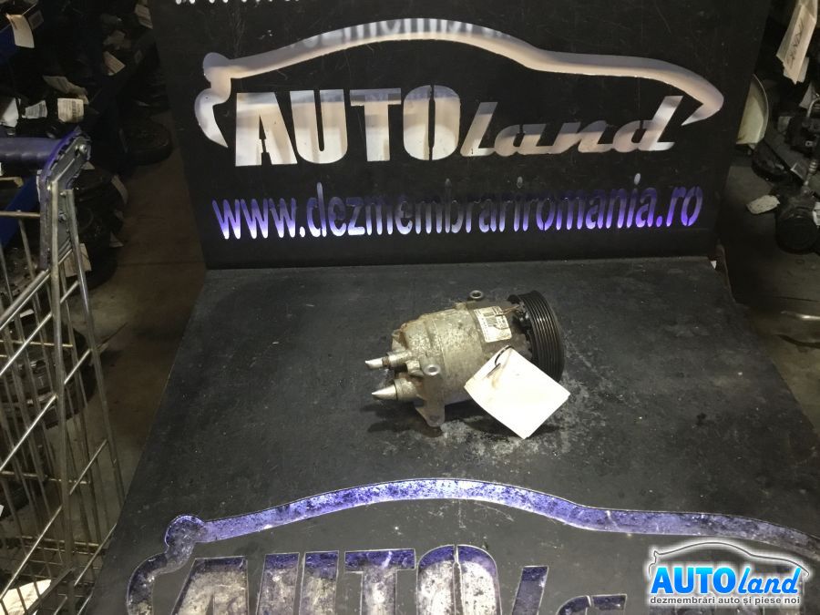 Compresor AC RENAULT MEGANE II (BM0/1_,CM0/1_) 2002-2025 Cod 8200457418
