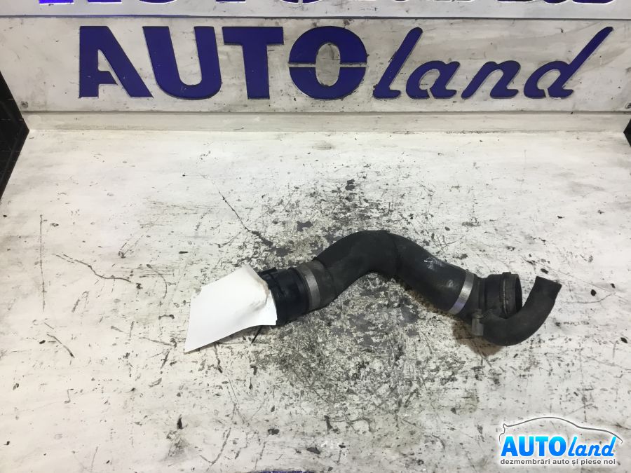 Diverse BMW 1 (E81,E87) 2004-2025