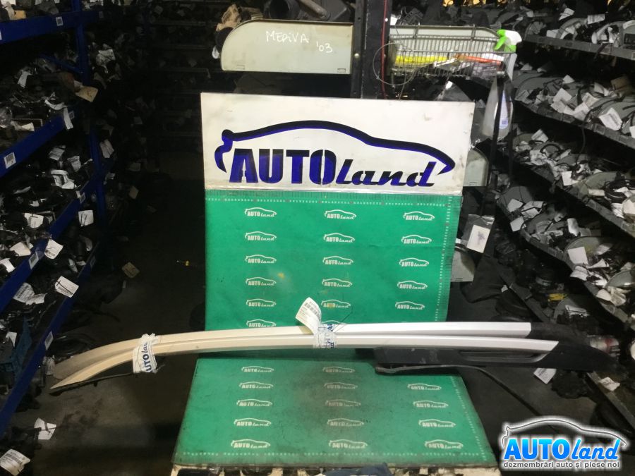 Diverse DACIA DUSTER 2010-2025 Cod 738219784R