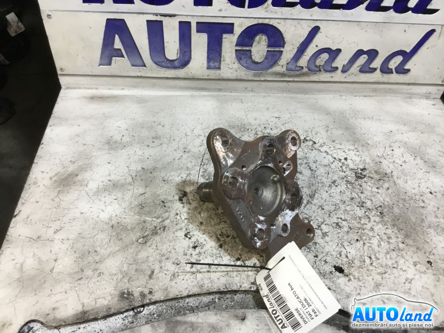 Diverse FIAT DUCATO bus 2006-2026