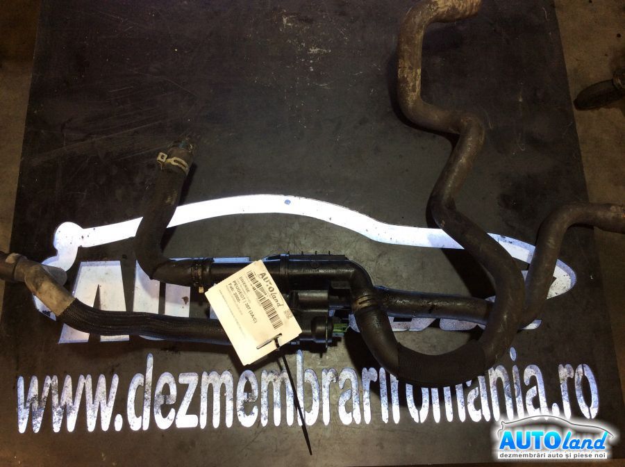 Diverse PEUGEOT 307 (3A/C) 2000-2025 Cod 96702537