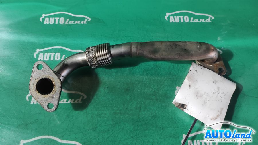 Diverse VOLKSWAGEN GOLF IV (1J1) 1997-2005 Cod 038131521BM