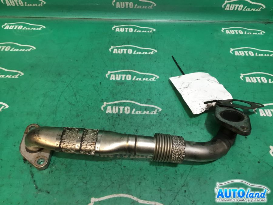 Diverse VOLKSWAGEN GOLF V (1K1) 2003-2025 Cod 03G131521F