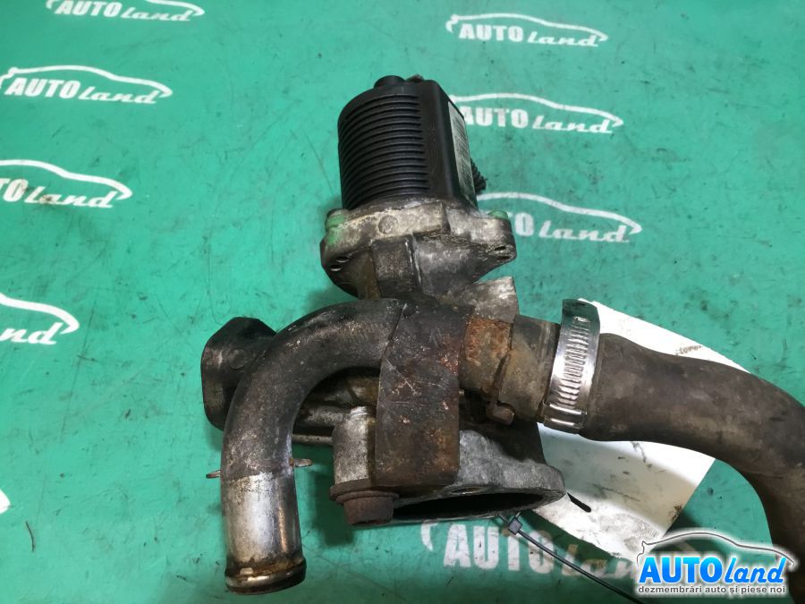 EGR FIAT LINEA (323) 2007-2025