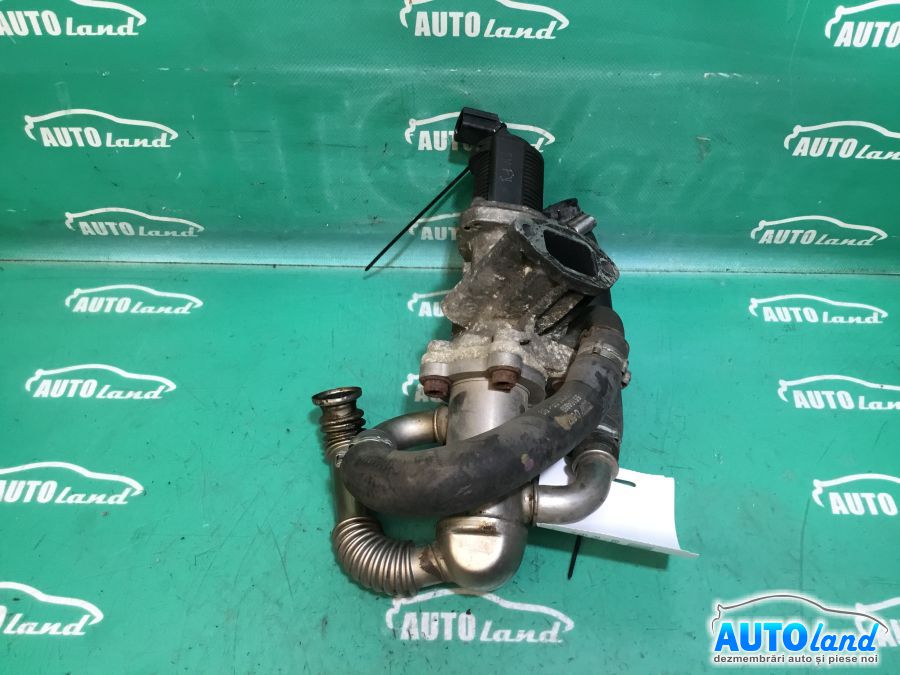 EGR FIAT LINEA (323) 2007-2025
