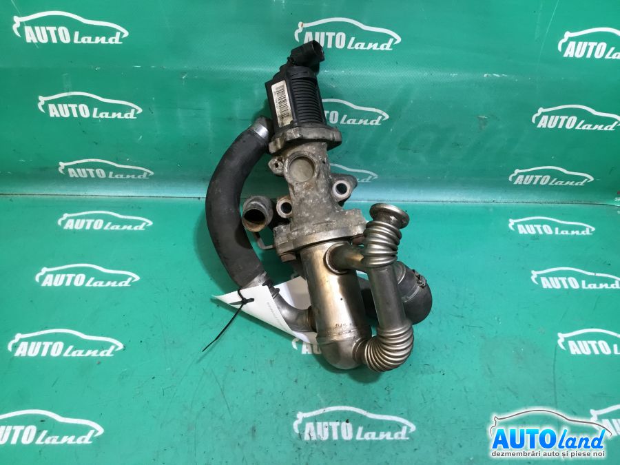 EGR FIAT LINEA (323) 2007-2025
