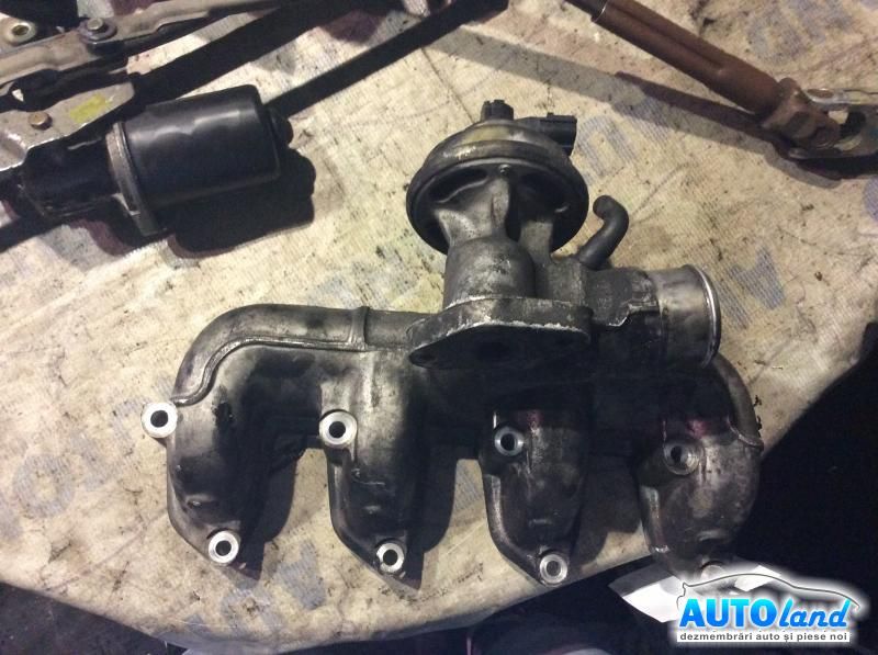 EGR FORD FOCUS (DAW,DBW) 1998-2001