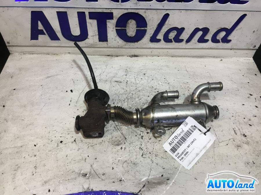 EGR PEUGEOT 307 (3A/C) 2000-2025