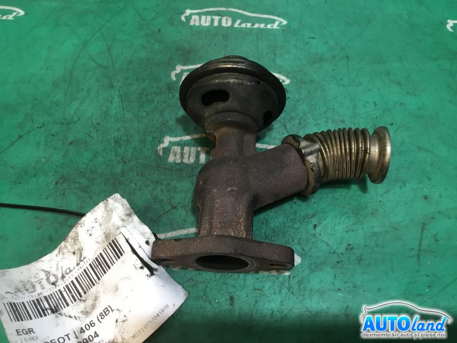 EGR PEUGEOT 406 (8B) 1995-2004