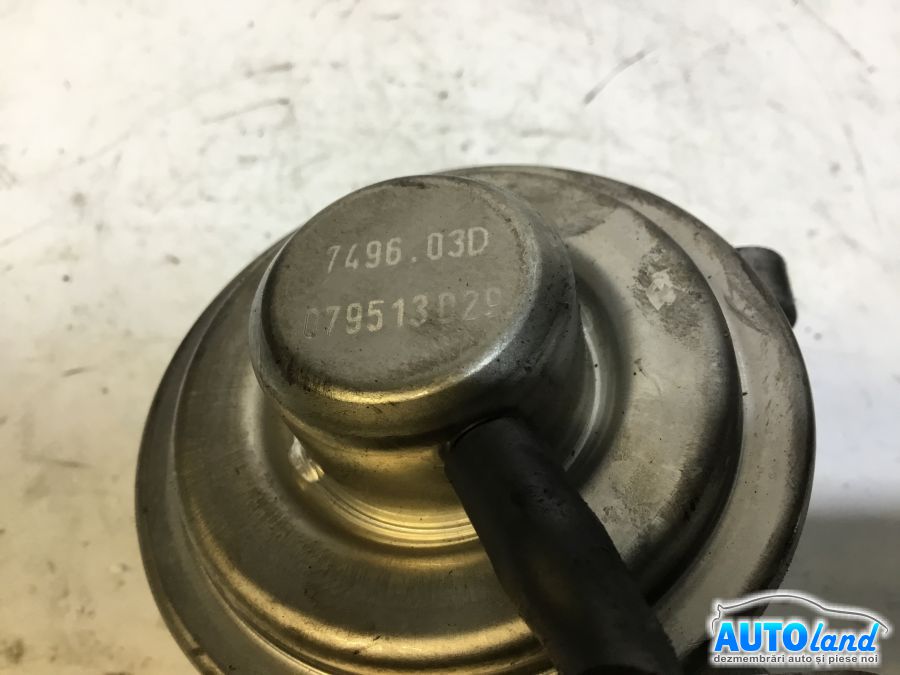 EGR SKODA OCTAVIA (1Z3) 2004-2025 Cod 038129673D
