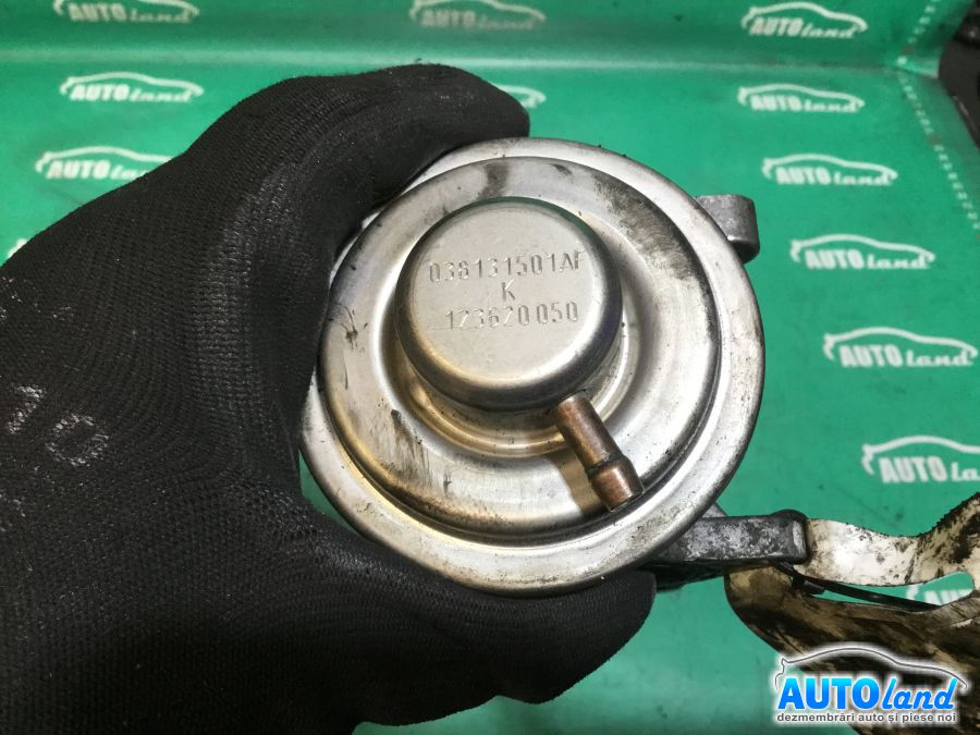 EGR SKODA OCTAVIA (1Z3) 2004-2025 Cod 038131501AF