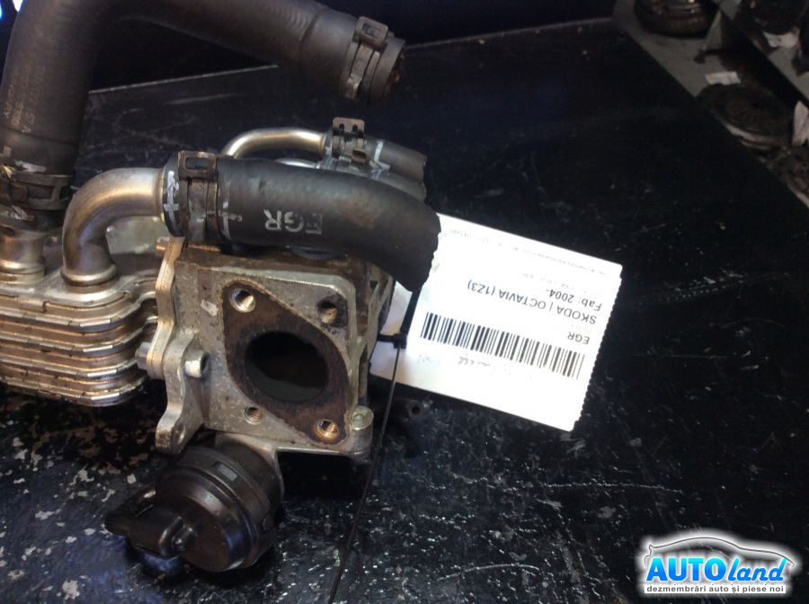 EGR SKODA OCTAVIA (1Z3) 2004-2025 Cod 03G131063