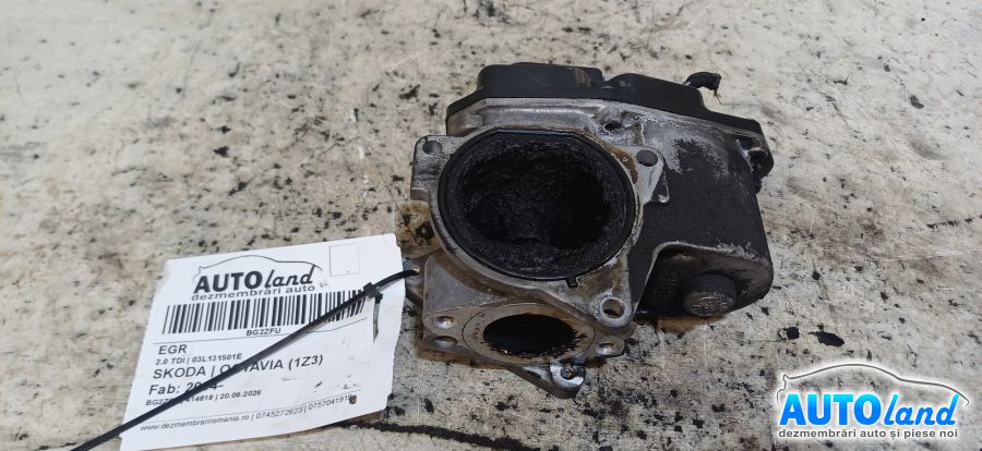 EGR SKODA OCTAVIA (1Z3) 2004-2026 Cod 03L131501E