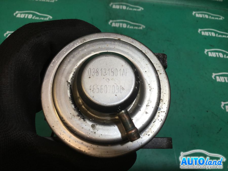 EGR VOLKSWAGEN GOLF V (1K1) 2003-2025 Cod 038131501AF