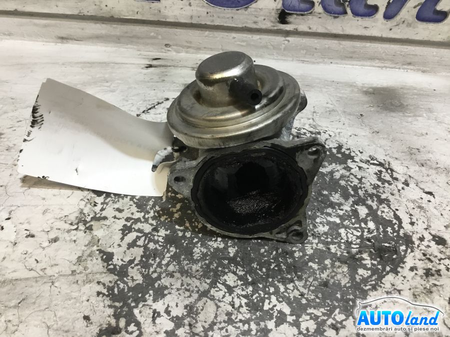 EGR VOLKSWAGEN GOLF V (1K1) 2003-2025 Cod 038131501AN