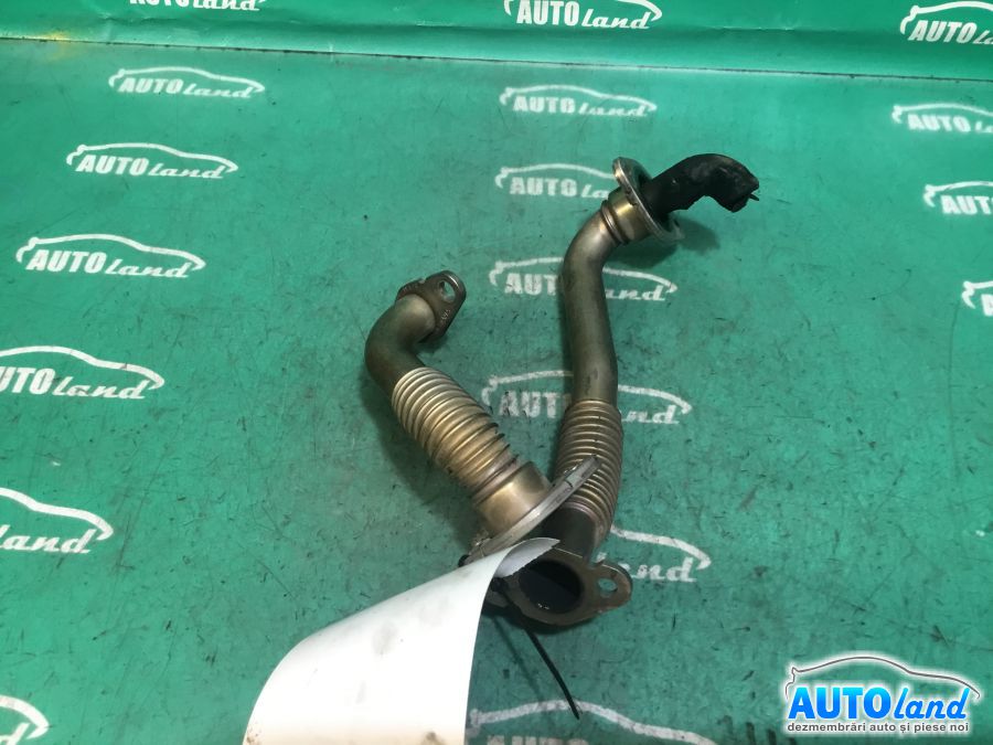 EGR VOLKSWAGEN GOLF V (1K1) 2003-2025 Cod 03C131521T