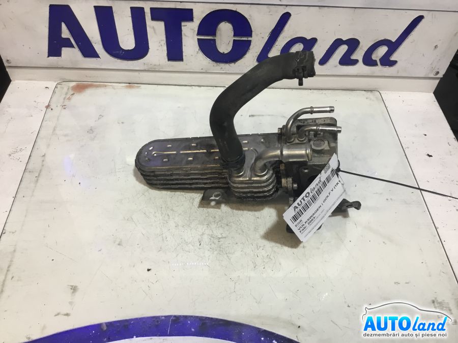 EGR VOLKSWAGEN GOLF V (1K1) 2003-2025 Cod 03G131063E