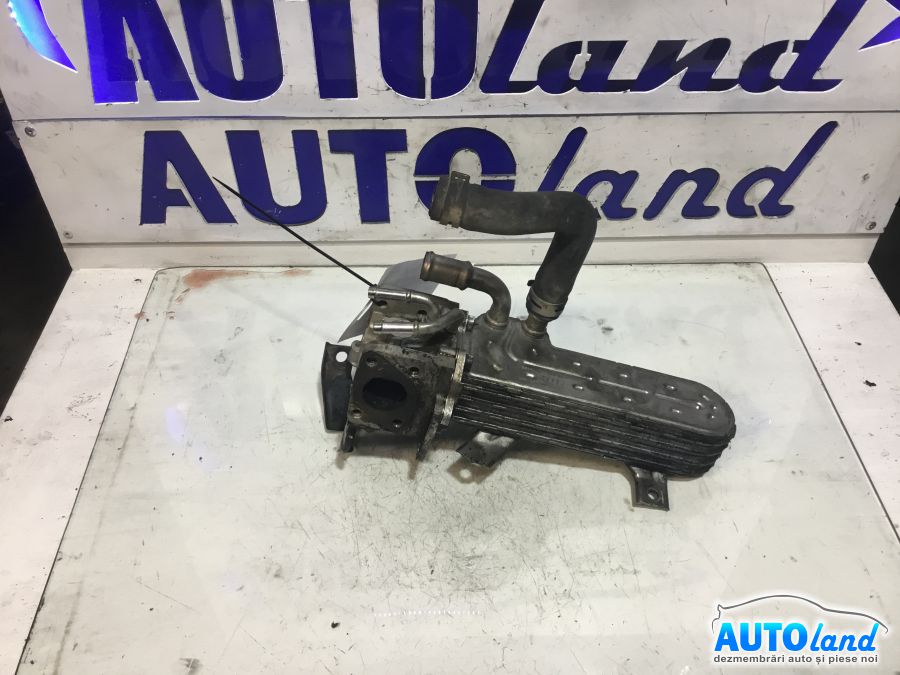 EGR VOLKSWAGEN GOLF V (1K1) 2003-2025 Cod 03G131063E