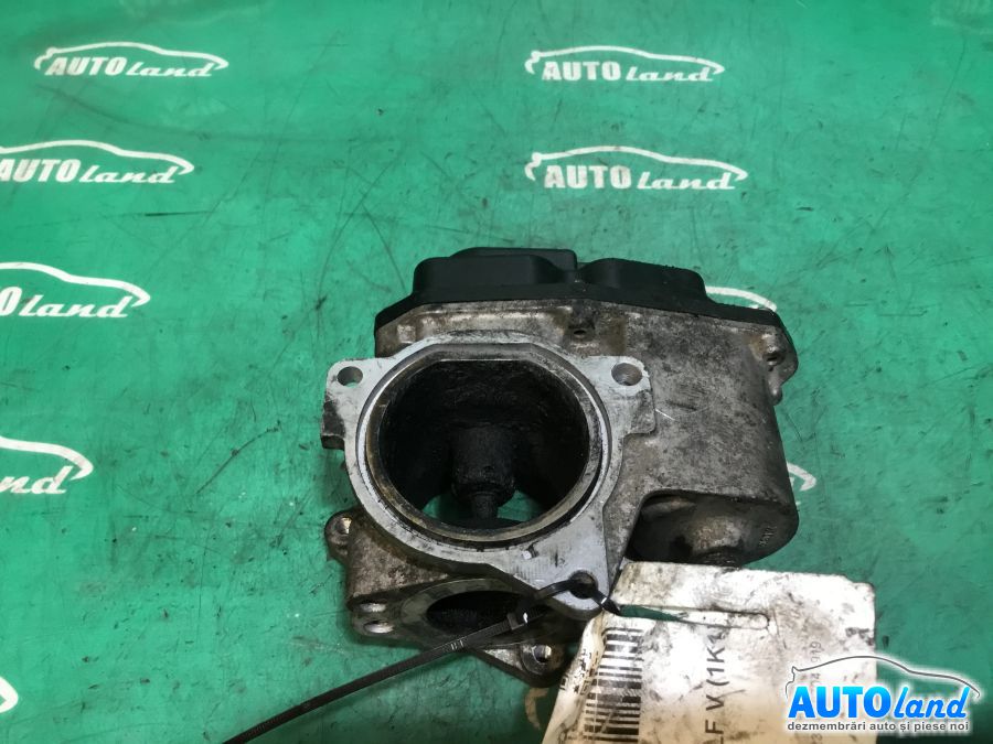 EGR VOLKSWAGEN GOLF V (1K1) 2003-2025 Cod 03G131501