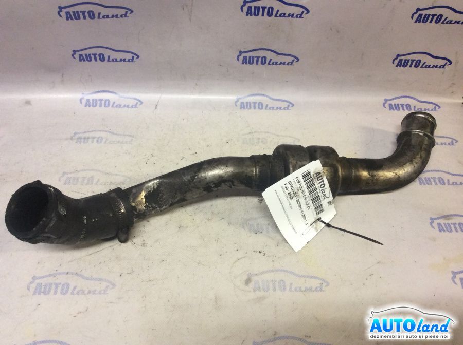 Furtun Intercooler Turbo RENAULT SCENIC II (JM0/1_) 2003-2025