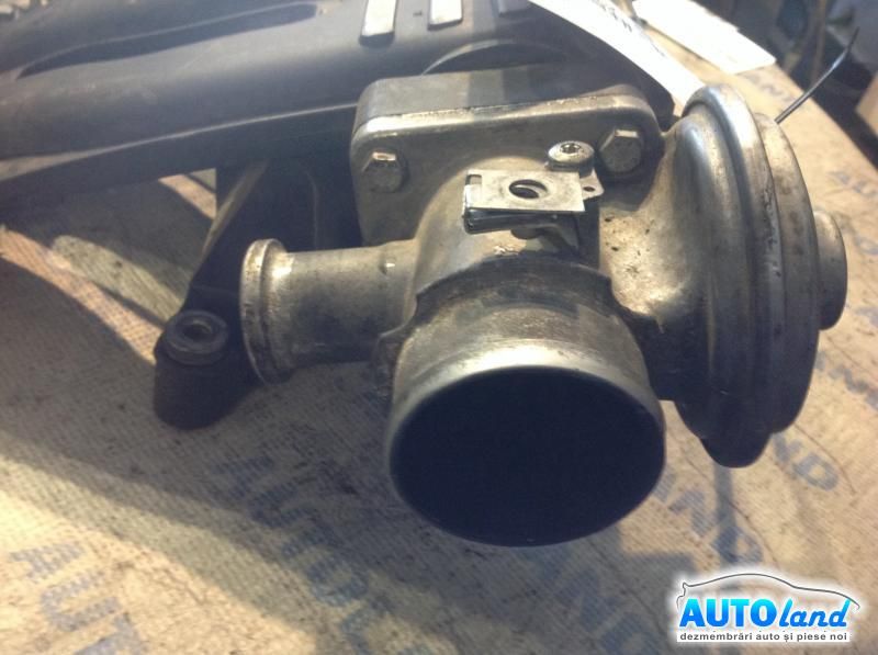 Galerie Admisie BMW 3 (E46) 1998-2005