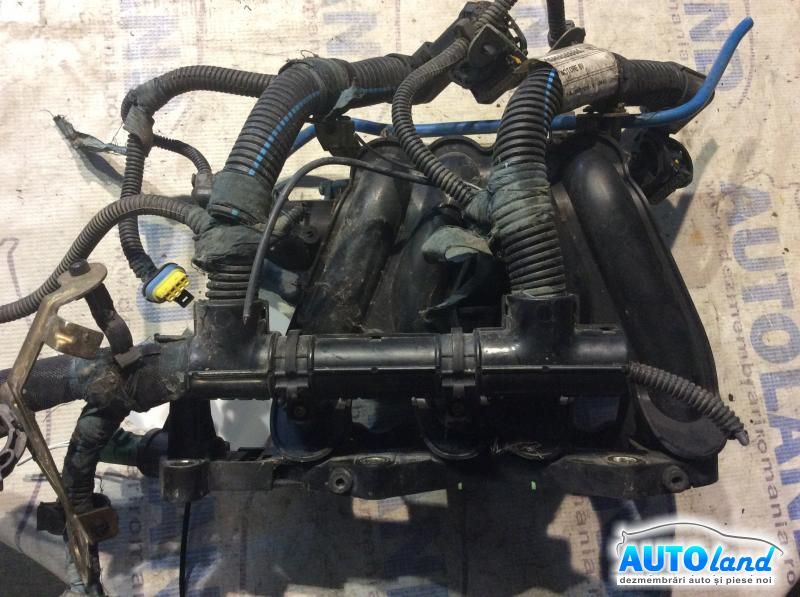 Galerie Admisie FIAT PUNTO (188) 1999-2012 Cod 46526284