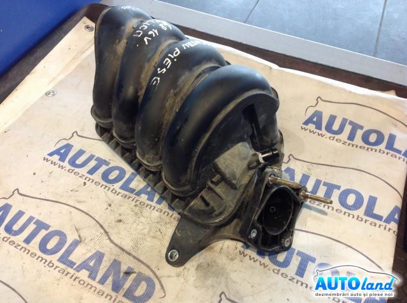 Galerie Admisie TOYOTA CELICA (ZZT23_) 1999-2025