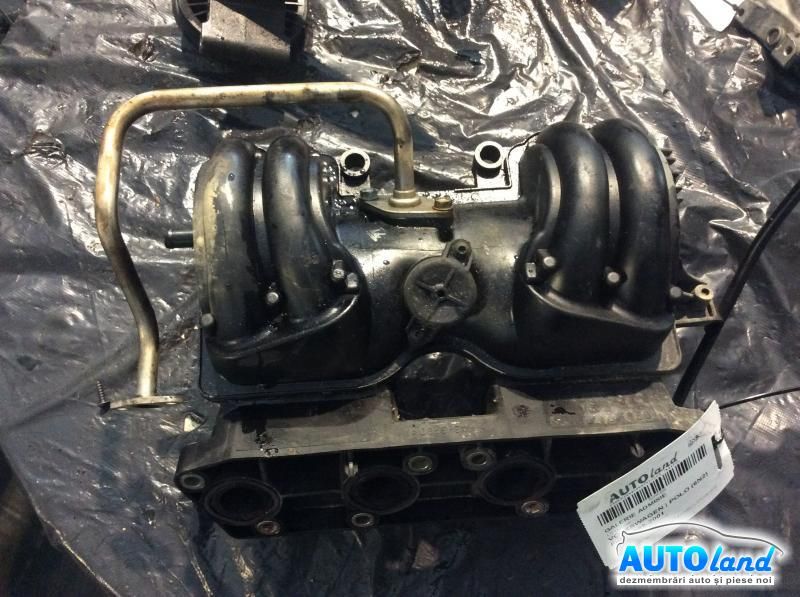 Galerie Admisie VOLKSWAGEN POLO (6N2) 1999-2001 Cod 030129711BN