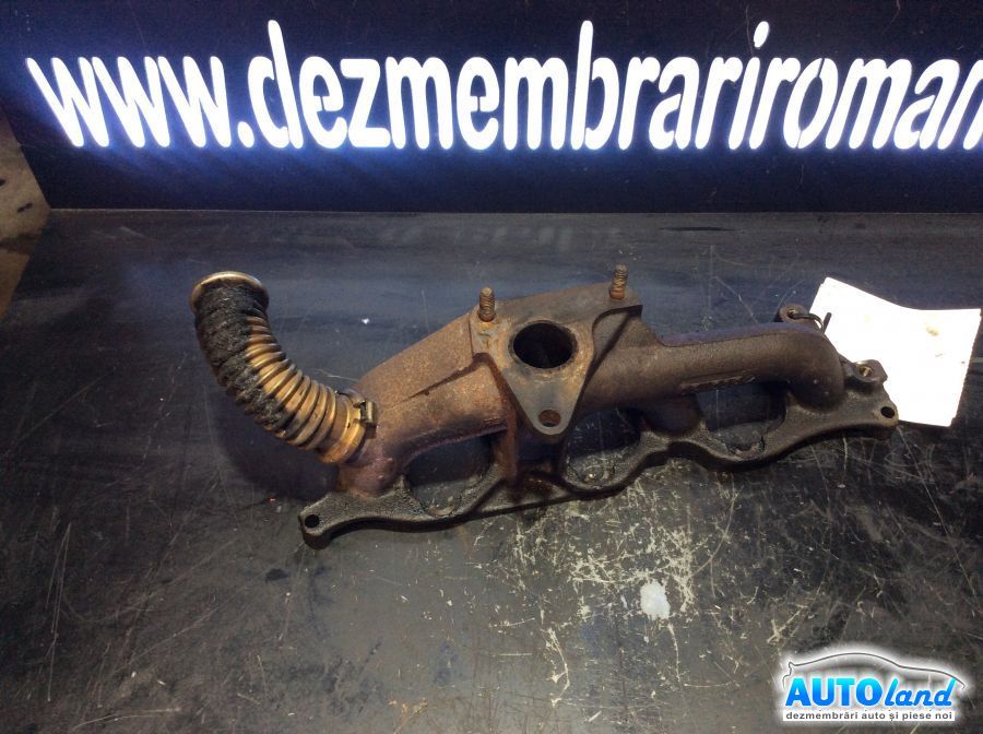 Galerie Evacuare RENAULT SCENIC I (JA0/1_) 1999-2003