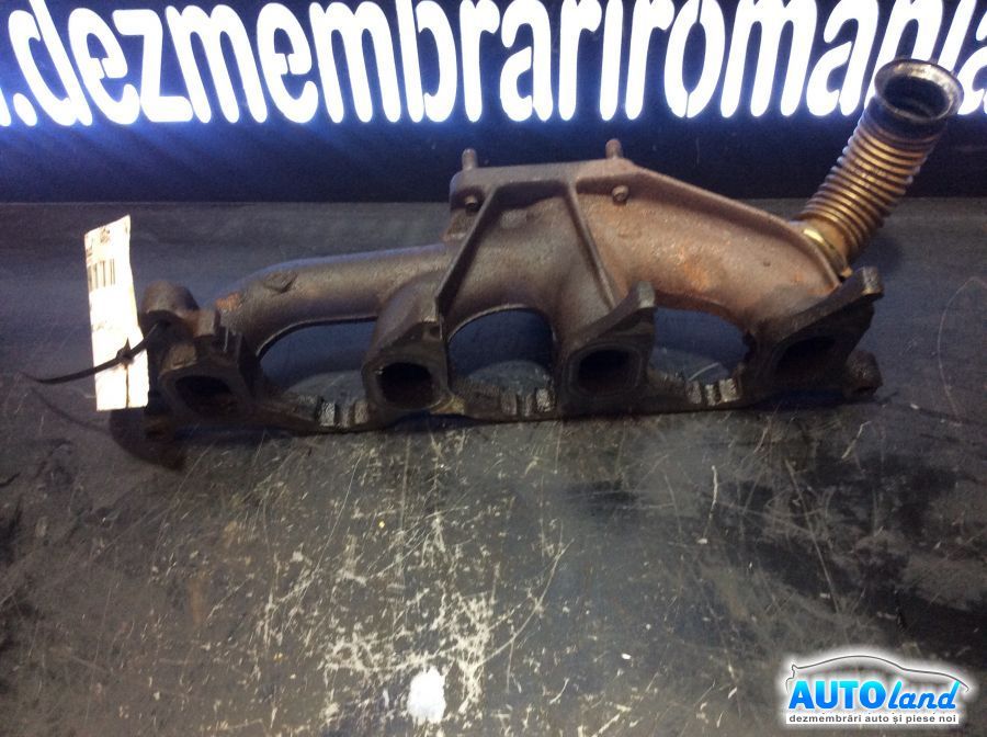 Galerie Evacuare RENAULT SCENIC I (JA0/1_) 1999-2003