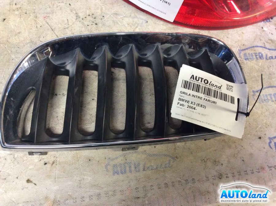 Grila Intre Faruri BMW X3 (E83) 2004-2026 Cod 3402909