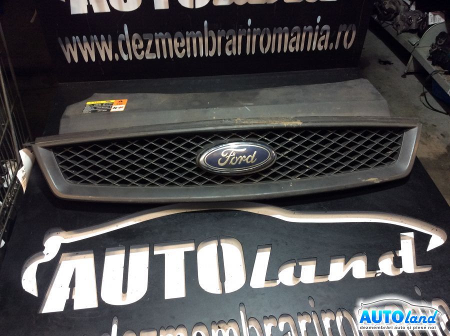 Grila Intre Faruri FORD FOCUS II (DA_) 2004-2008