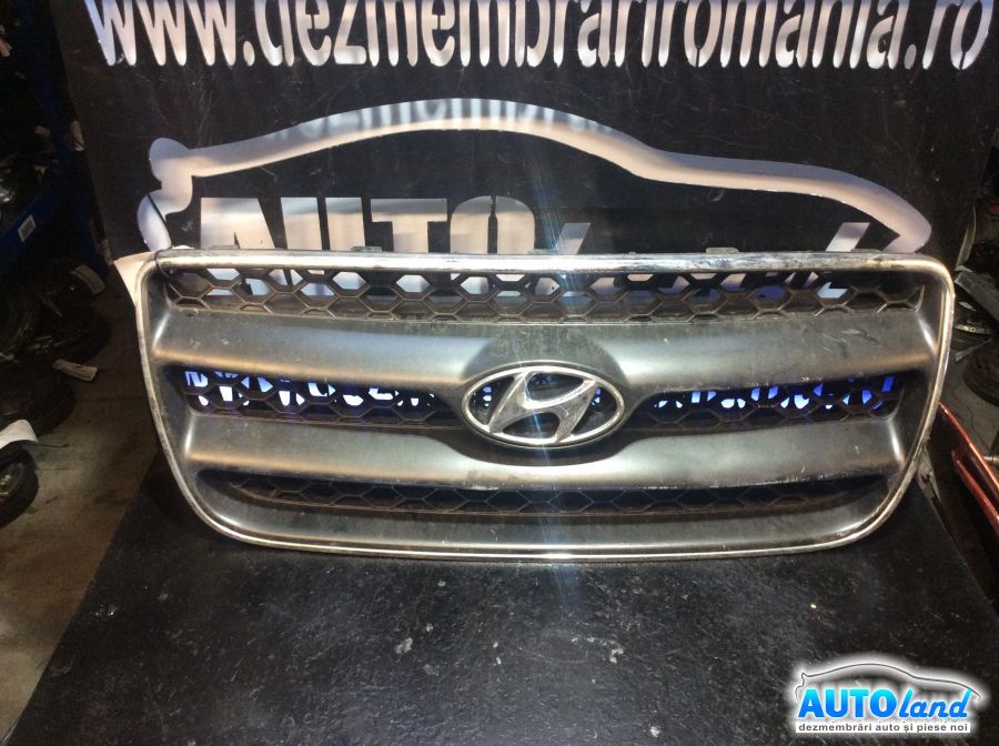 Grila Intre Faruri HYUNDAI SANTA FE (CM) 2006-2025