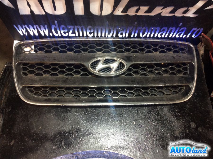 Grila Intre Faruri HYUNDAI SANTA FE (CM) 2006-2025