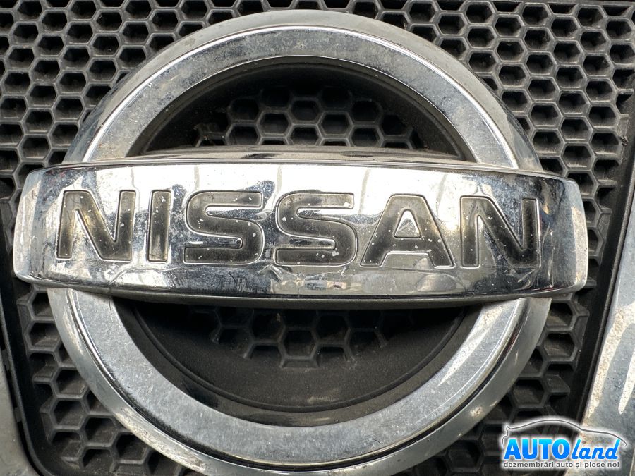 Grila Intre Faruri NISSAN QASHQAI (J10,JJ10) 2007-2025