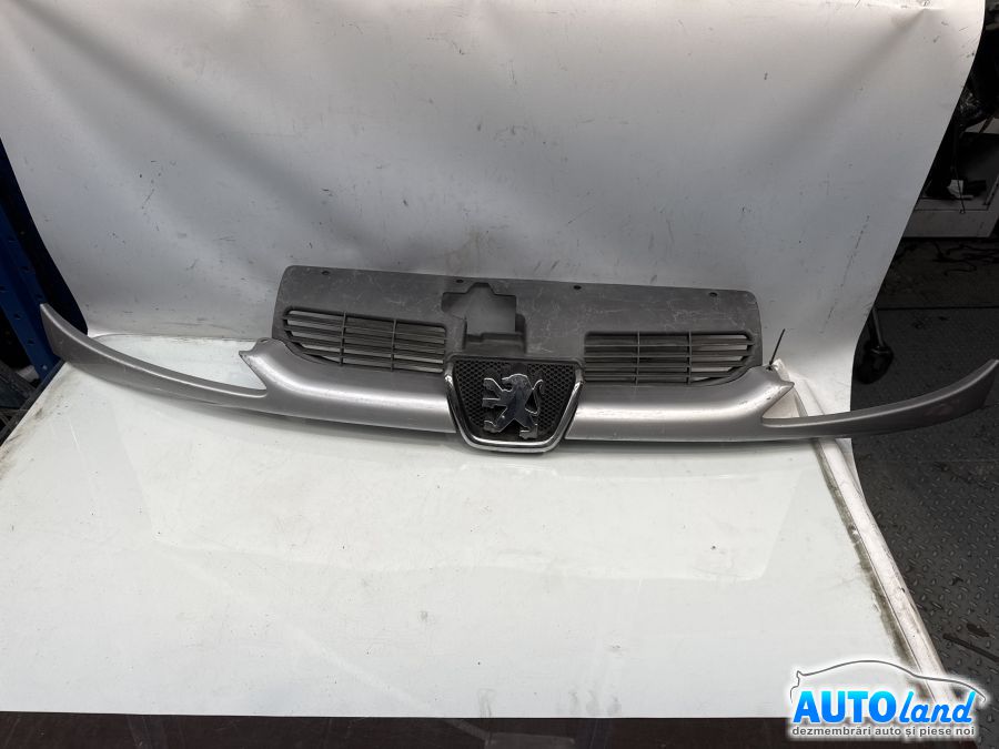 Grila Intre Faruri PEUGEOT 206 hatchback (2A/C) 1998-2025 Cod 9628691277