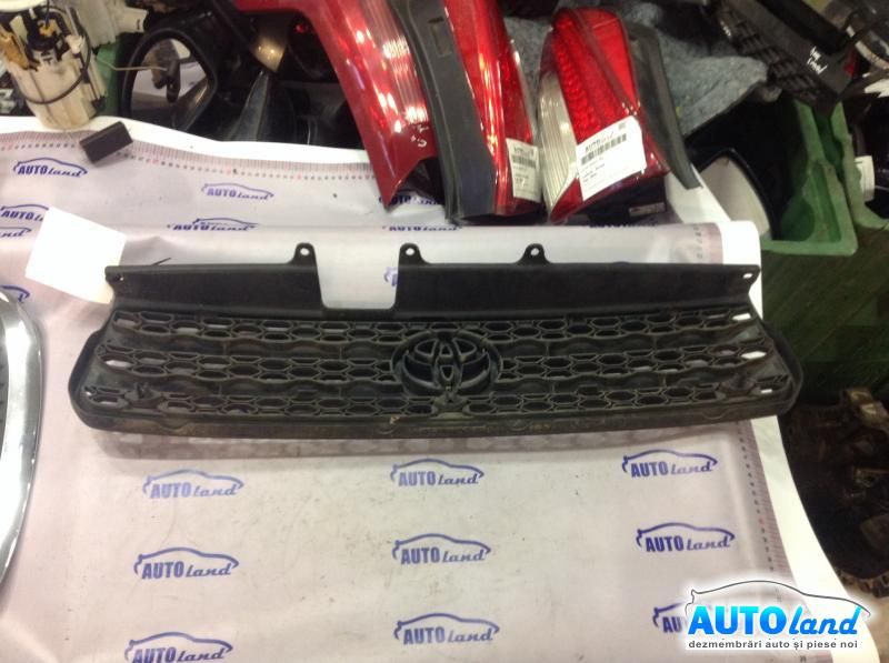 Grila Intre Faruri TOYOTA RAV 4 II (XA2) 2000-2025