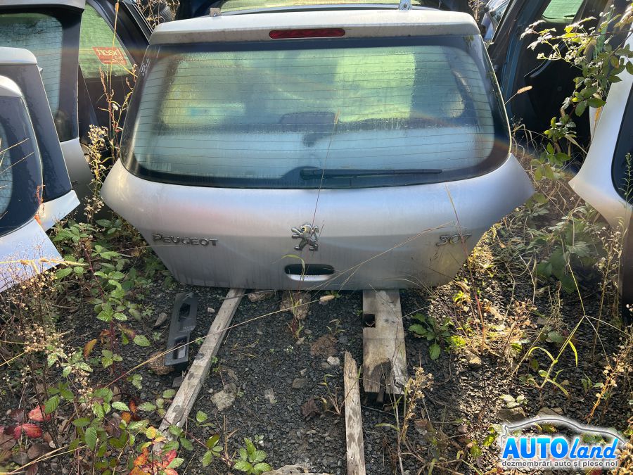 Haion/Portbagaj PEUGEOT 307 (3A/C) 2000-2025
