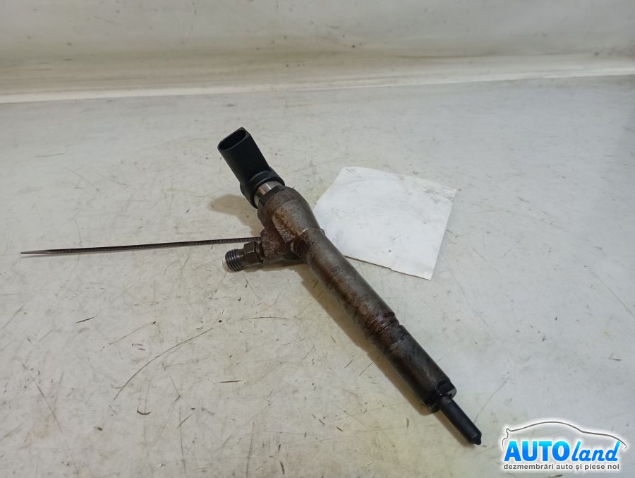 Injector RENAULT MEGANE II (BM0/1_,CM0/1_) 2002-2025 Cod 8200294788