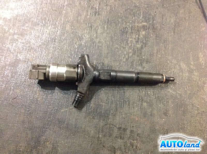 Injector RENAULT VEL SATIS (BJ0_) 2002-2025 Cod 8972391617