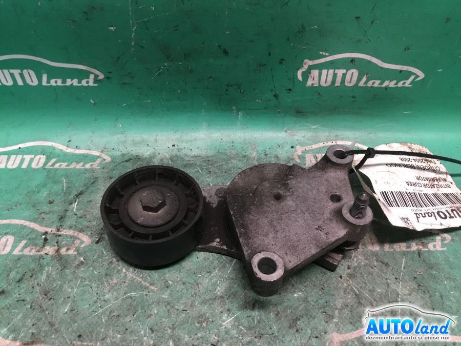 Intinzator Curea Alternator CITROEN BERLINGO 2004-2008 Cod 846143