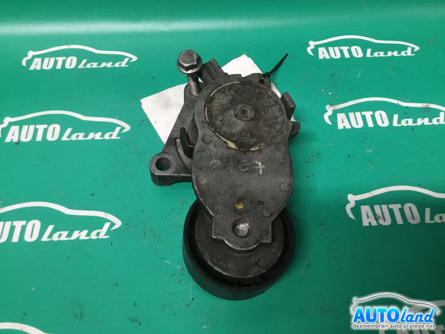 Intinzator Curea Alternator