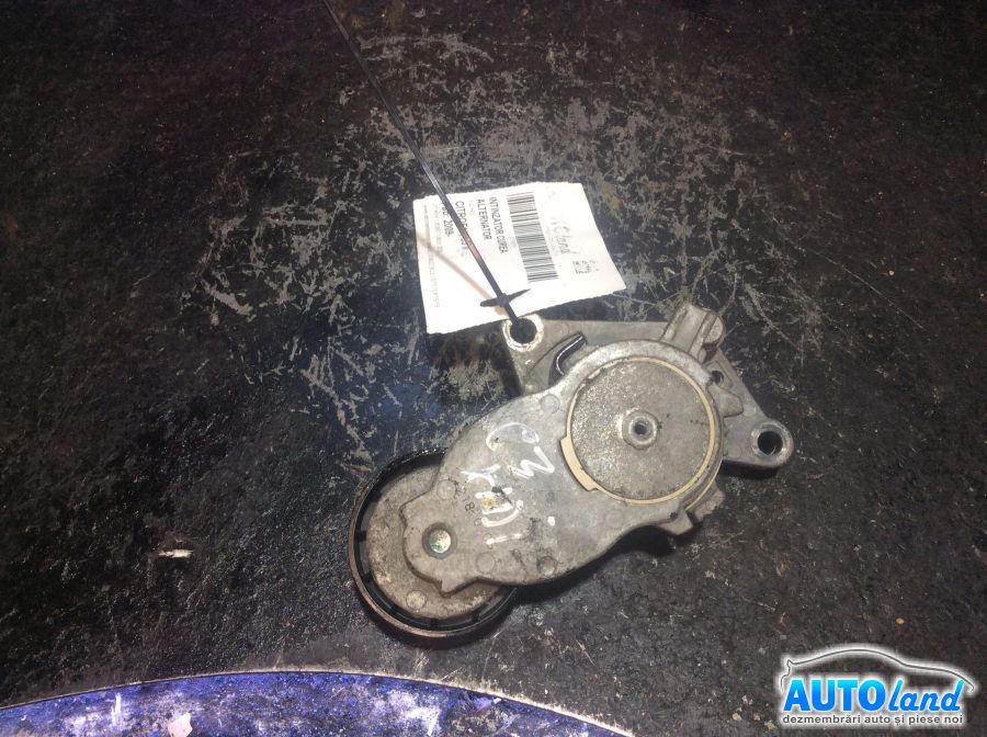 Intinzator Curea Alternator CITROEN C3 II 2009-2025 Cod 825809